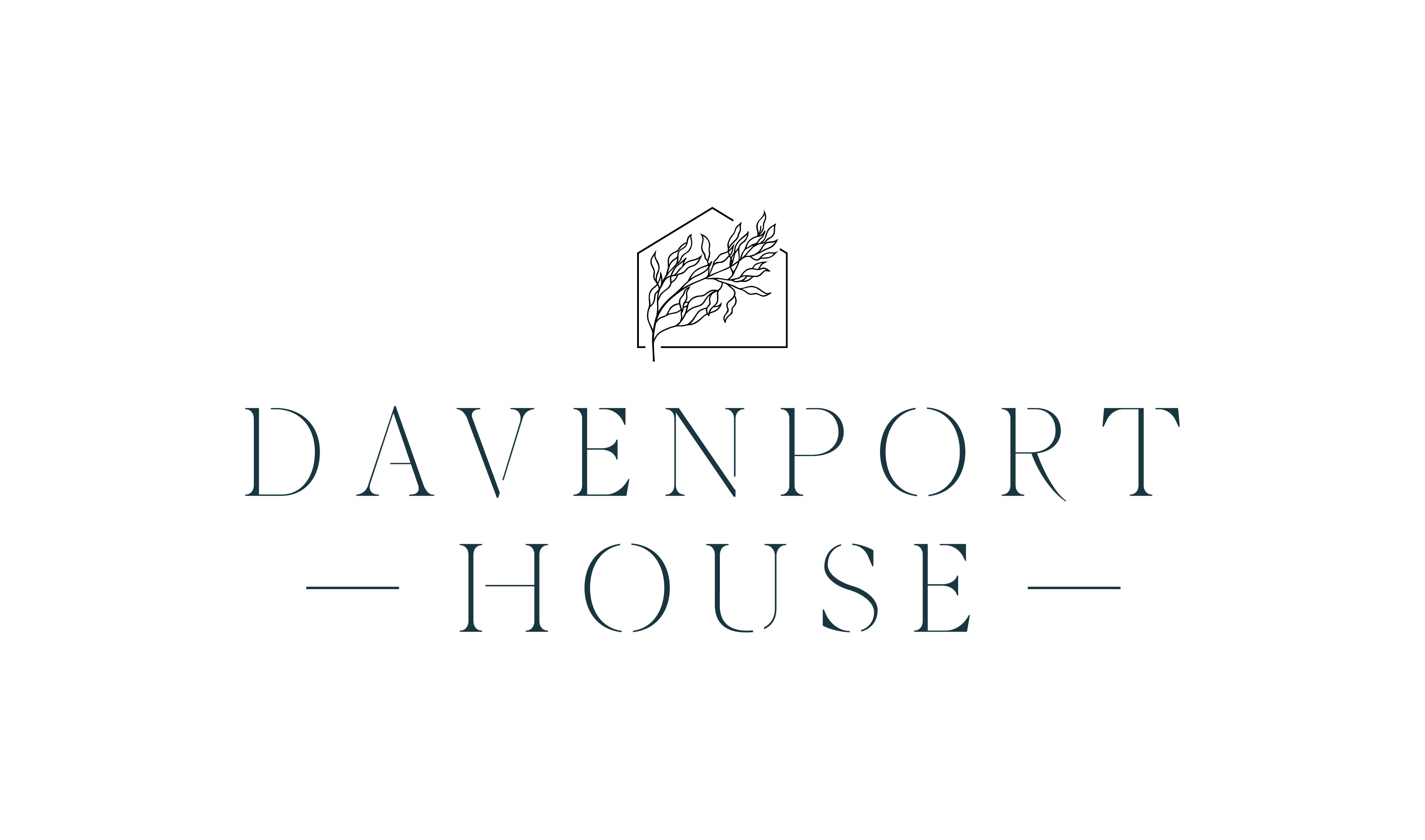 https://www.davenport-house.com/cdn/shop/files/Main_Logo-01_30f885a7-d81e-478c-a9c4-97f827cb0c71_3959x.jpg?v=1648049258